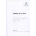 European Social Charter - European Committee of Social Rights - Addendum to Conclusions XV-2 (Ireland)