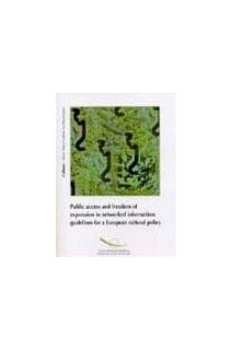 Public access and freedom of expression in networked information: guidelines for a European cultural policy