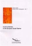 Social protection in the European Social Charter (Social Charter Monographs No. 7)