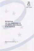Action plan for the conservation of the Iberian Lynx in Europe (Lynx Pardinus) ( Nature and Environment No. 111)
