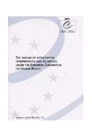 The margin of appreciation: interpretation and discretion under the European convention on Human Rights (Human Rights files No. 17)