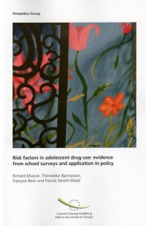 Risk factors in adolescent drug use: evidence from school surveys and application in policy