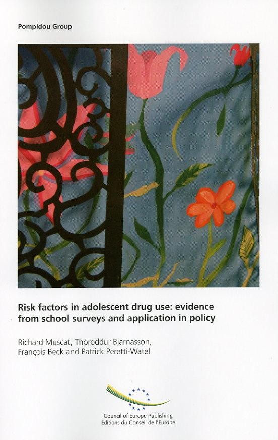 Risk factors in adolescent drug use: evidence from school surveys and application in policy