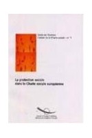 La protection sociale dans la Charte sociale européenne (Cahiers de la Charte sociale n° 7)