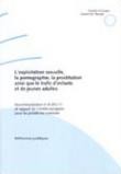 L'exploitation sexuelle, la pornographie, la prostitution, ainsi que le trafic d'enfants et de jeunes adultes (Recommandation no R (91) 11) et rapport du Comité européen sur les problèmes criminels