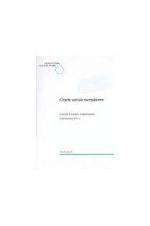 Charte sociale européenne - Comité d'experts indépendants - Conclusions XIII-5
