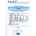 IRIS plus: Nuggets - Generating and Safeguarding Value in the Audiovisual Sector