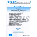 IRIS plus: Nuggets - Wertschöpfung und Wertsicherung im audiovisuellen Sektor