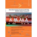 PDF - Intercultural Learning in European Youth Work: Which Ways Forward?