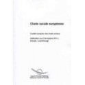 Charte sociale européenne - Comité européen des Droits sociaux - Addendum aux Conclusions XVI-2 (Irlande, Luxembourg)