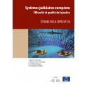 L'utilisation des technologies de l'information dans les tribunaux en Europe  (Etudes de la CEPEJ n° 24)