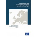 PDF - The longer-term future of the system of the European Convention on Human Rights