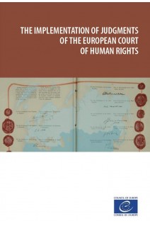 PDF - The implementation of judgments of the European Court of Human Rights