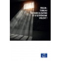 Prison : terreau de radicalisation et d’extrémisme violent ?