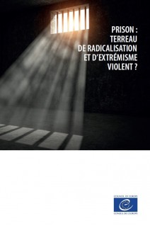 PDF - Prison : terreau de radicalisation et d’extrémisme violent ?