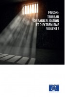 epub - Prison : terreau de radicalisation et d’extrémisme violent ?