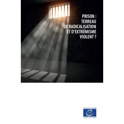 epub - Prison : terreau de radicalisation et d’extrémisme violent ?