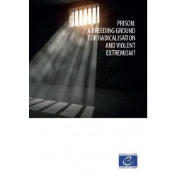 epub - Prison: a breeding ground for radicalisation and violent extremism?
