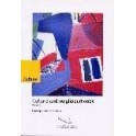 Culture and neighbourhoods - Volume 1 - Concepts and references