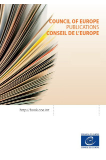 Disinformation and electoral campaigns