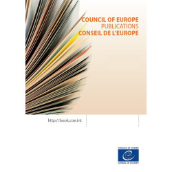 Disinformation and electoral campaigns