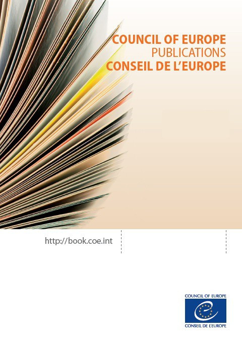 Disinformation and electoral campaigns