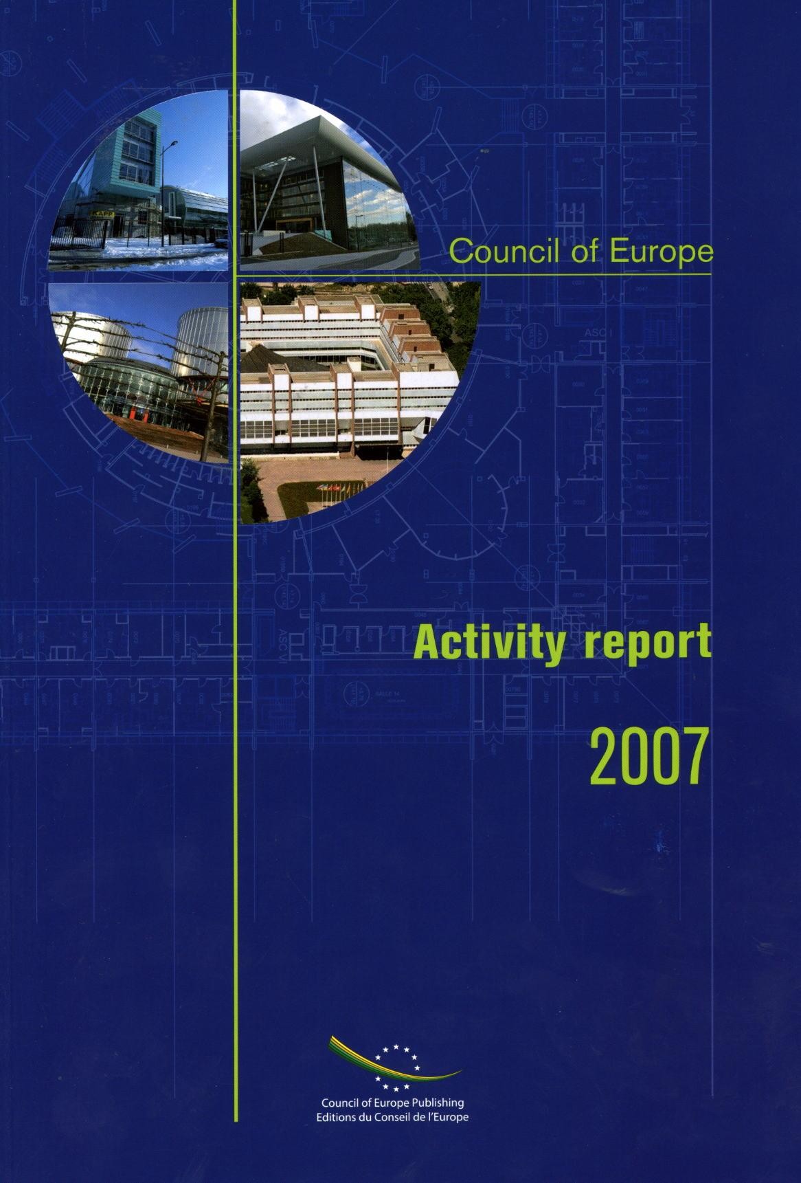 Activity Report 2007